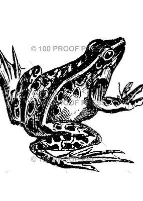 100 Proof Press Stamp Frog