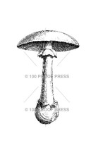 100 Proof Press Stamp Small Mushroom