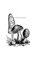 100 Proof Press Stamp Group of Mushrooms