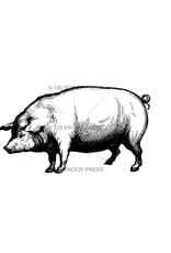 100 Proof Press Stamp Handsome Pig