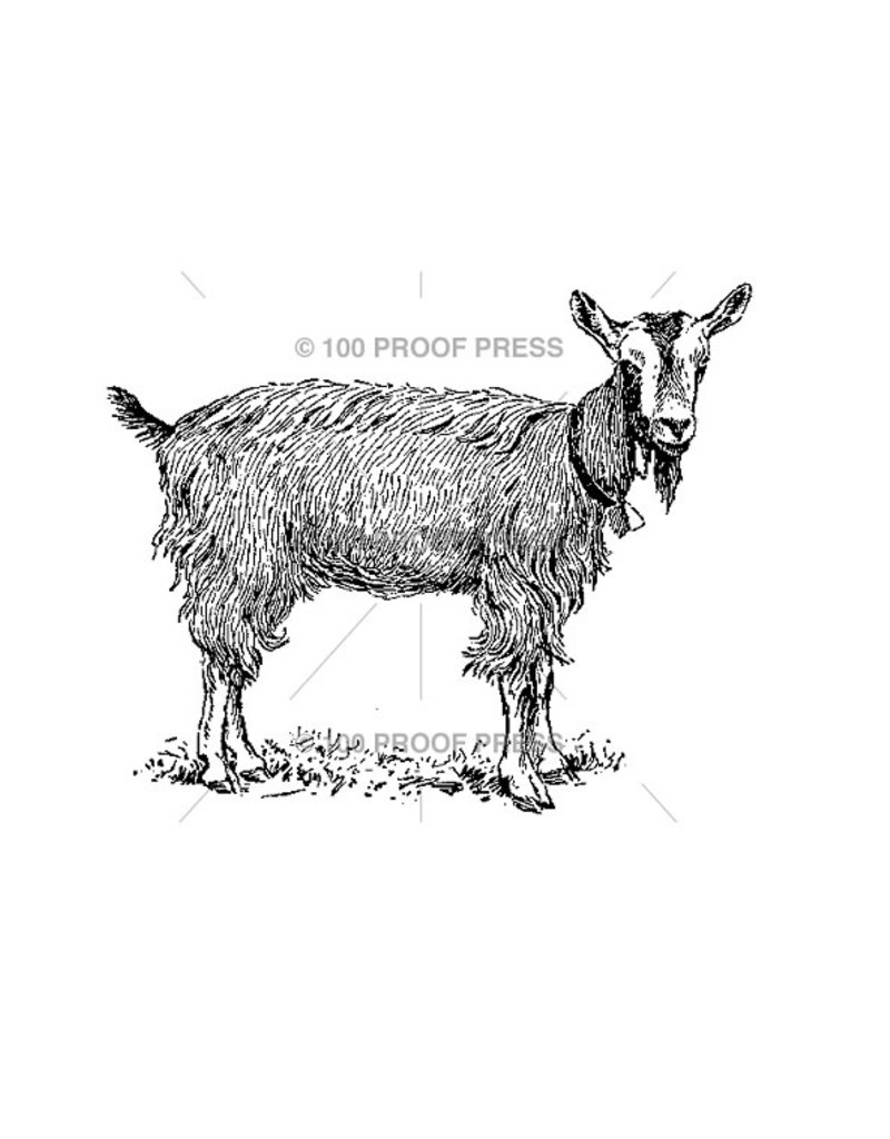 100 Proof Press Stamp Goat Sporting a Bell
