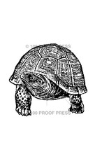 100 Proof Press Stamp Tortoise