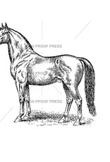 100 Proof Press Stamp Dark Horse Posed Facing Left