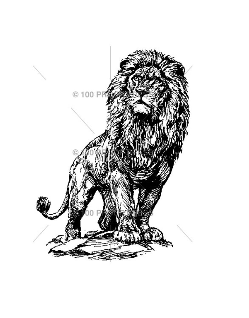 100 Proof Press Stamp Male Lion