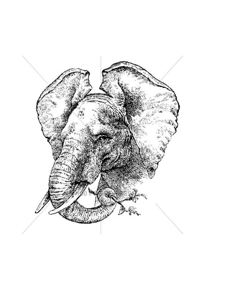 100 Proof Press Stamp Elephant Head Eating