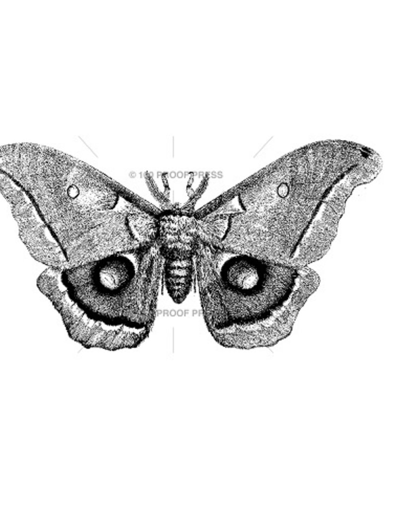 100 Proof Press Stamp Polyphemus Moth