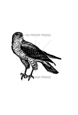 100 Proof Press Stamp Hawk