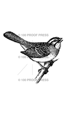 100 Proof Press Stamp Songbird on a Branch
