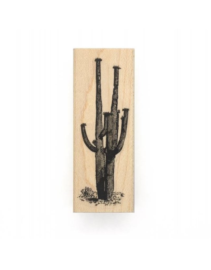 Leavenworth Jackson Stamp Saguaro