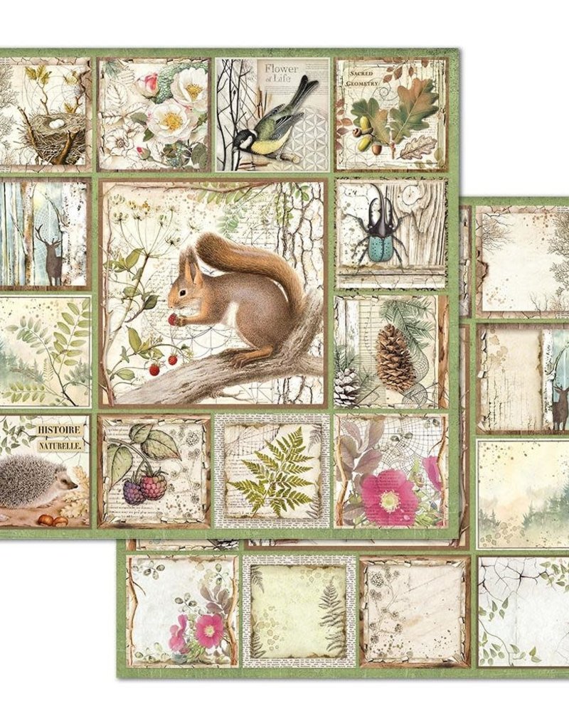 Stamperia 12 x 12 Decorative Paper Framed Squirrel
