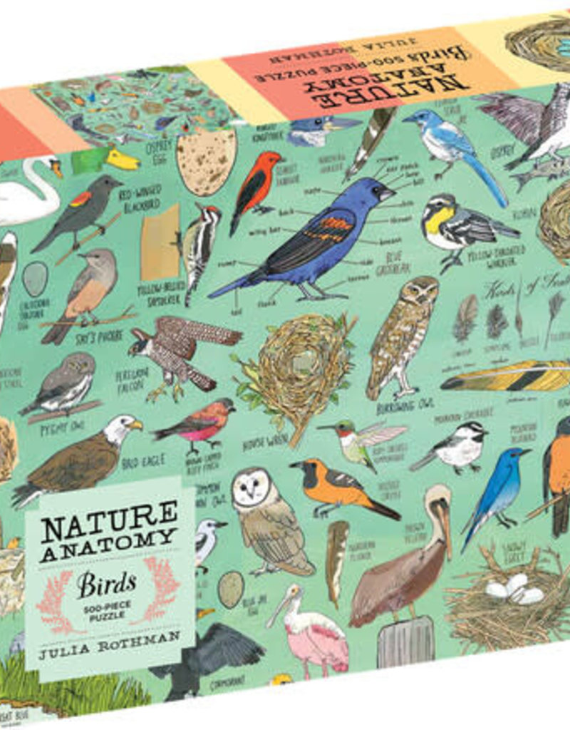Workman 500 Piece Puzzle Nature Anatomy Birds