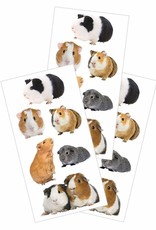 Paper House Pet Sticker Sheets 2 x 4
