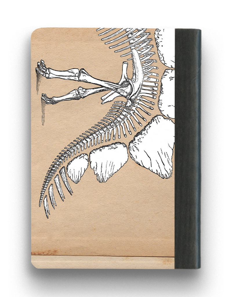 Mincing Mockingbird Dinosaur Notebook
