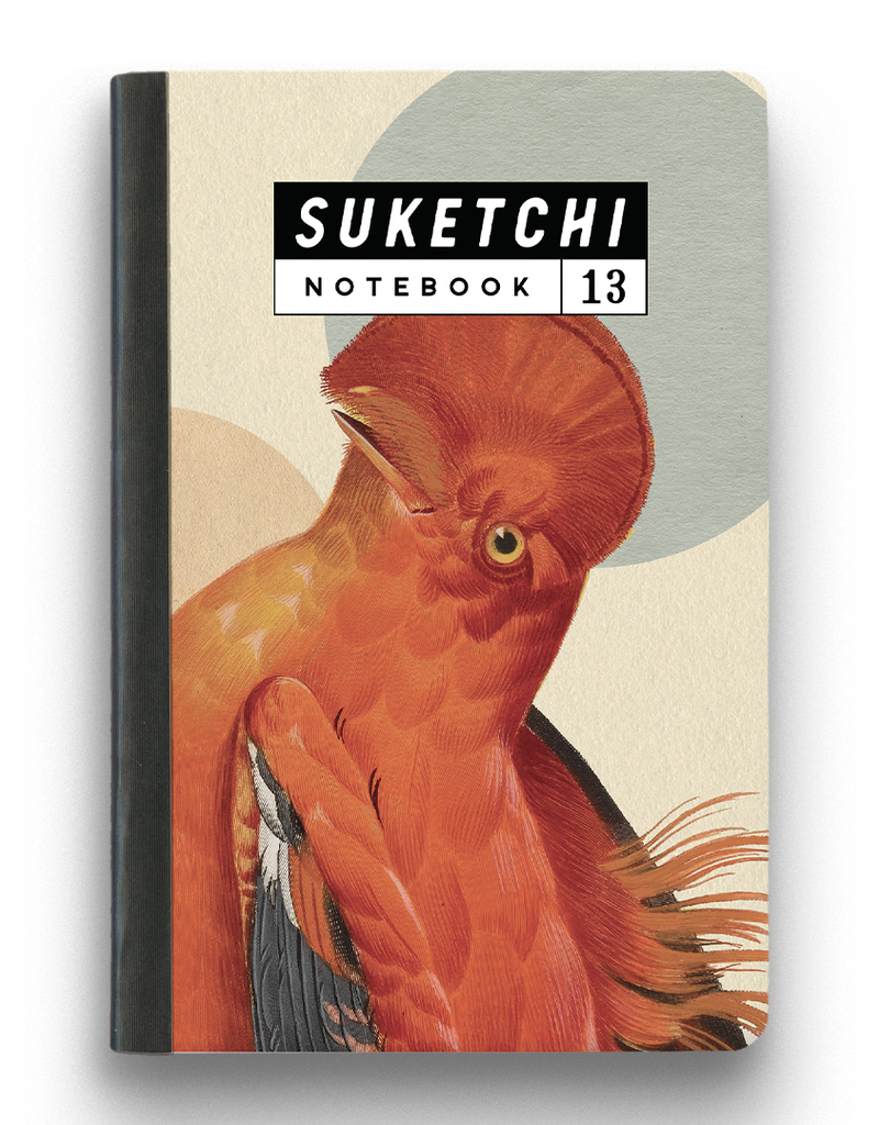 Mincing Mockingbird Bird Notebook