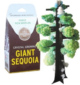 Copernicus Toys Crystal Growing Giant Sequoia