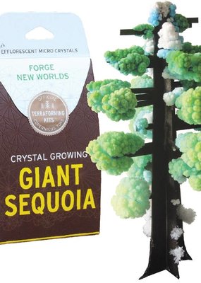 Copernicus Toys Crystal Growing Giant Sequoia