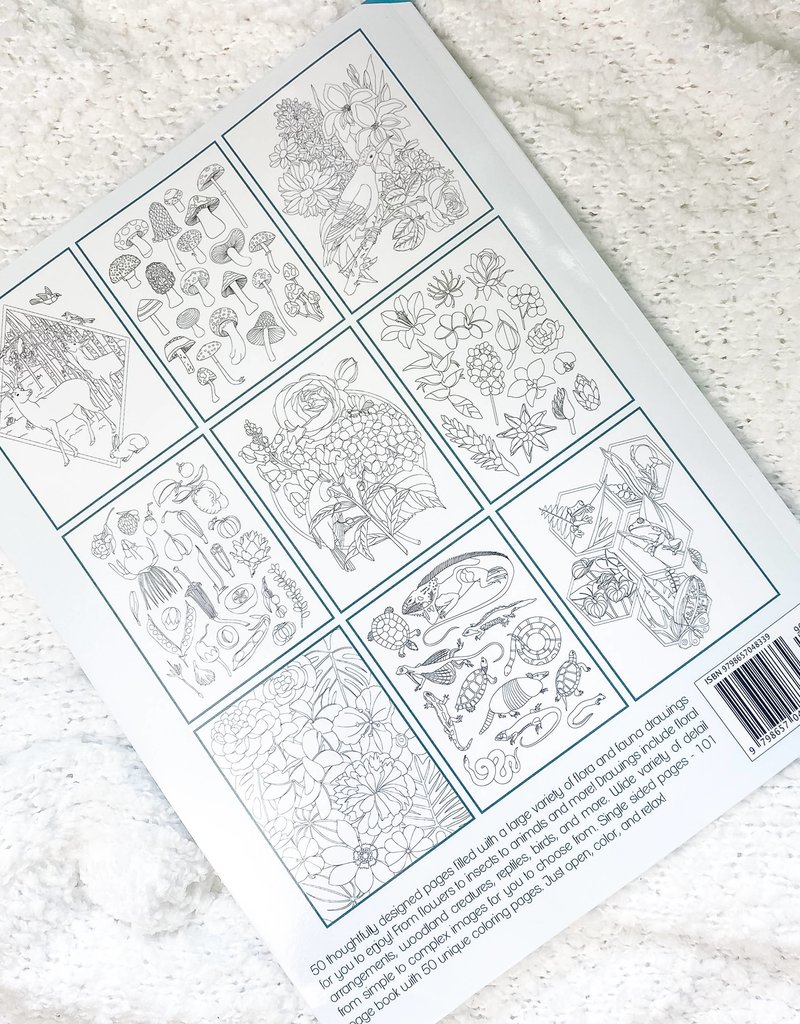 Beehive 95 Designs Coloring Book Flora & Fauna