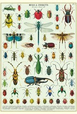 Cavallini Poster/Wrap Sheet  Bugs & Insects