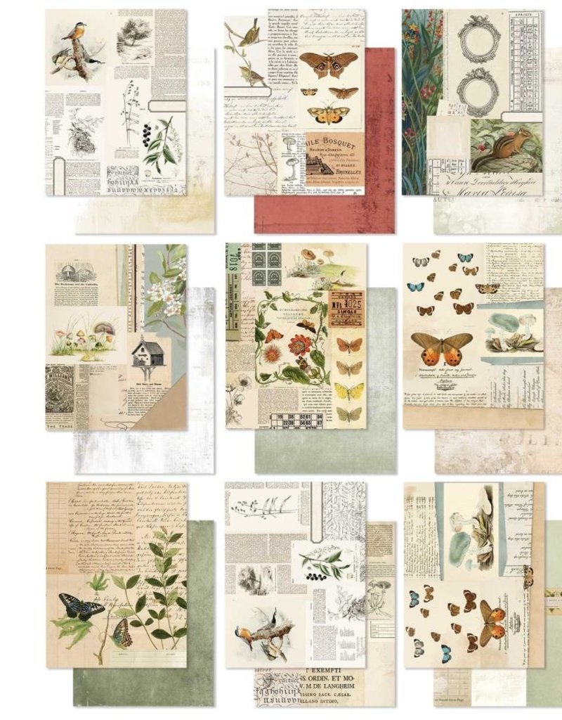 49 and Market 6 x 8 Paper Pad Curators Meadow