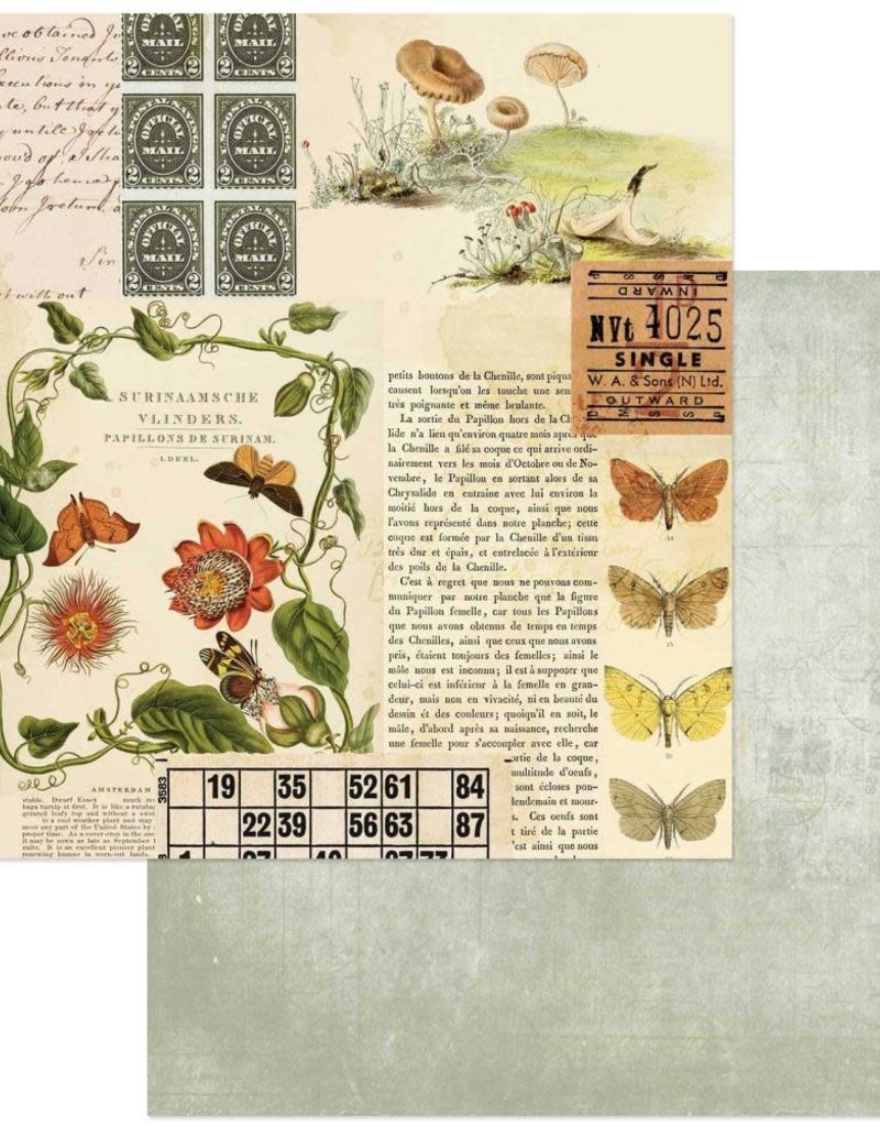 49 and Market 12 x 12 Decorative Paper Nature's Clippings