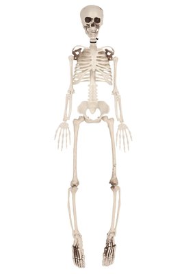 Beistle Plastic Skeleton