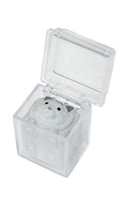 Cat in Box Capsule