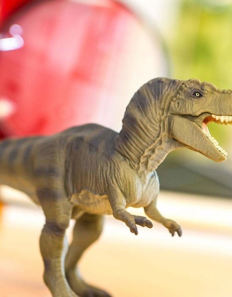 Safari Tyrannosaurus Rex Toy