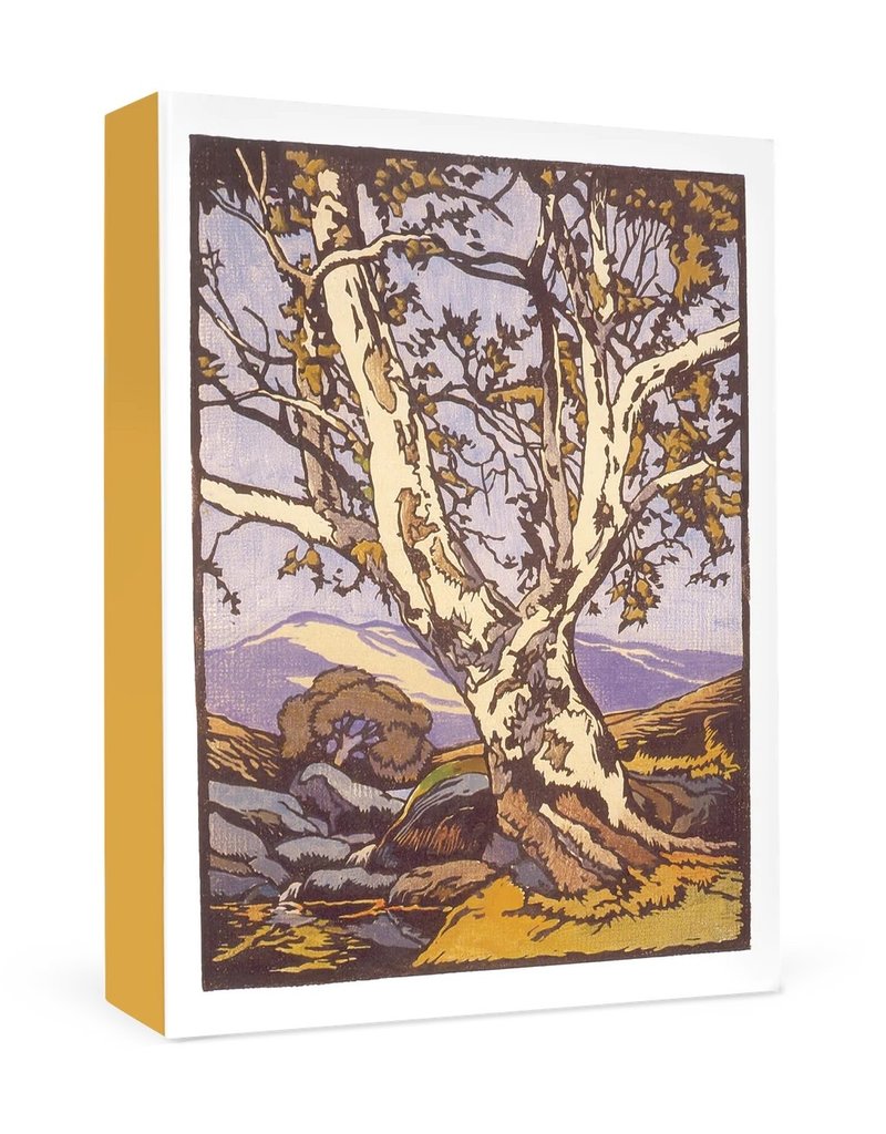 Pomegranate Boxed Thank You Cards William S. Rice Western Sycamore