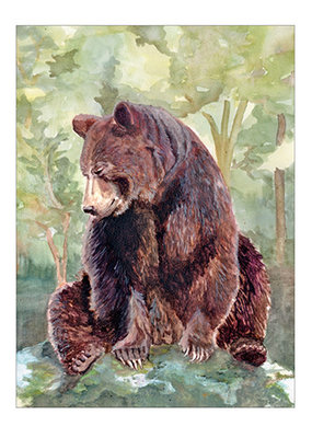 Grasshopper Press Card A Bear Sits in the Woods