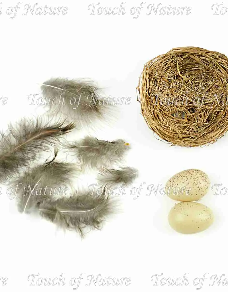 Touch of Nature Grass Bird Nest Kit