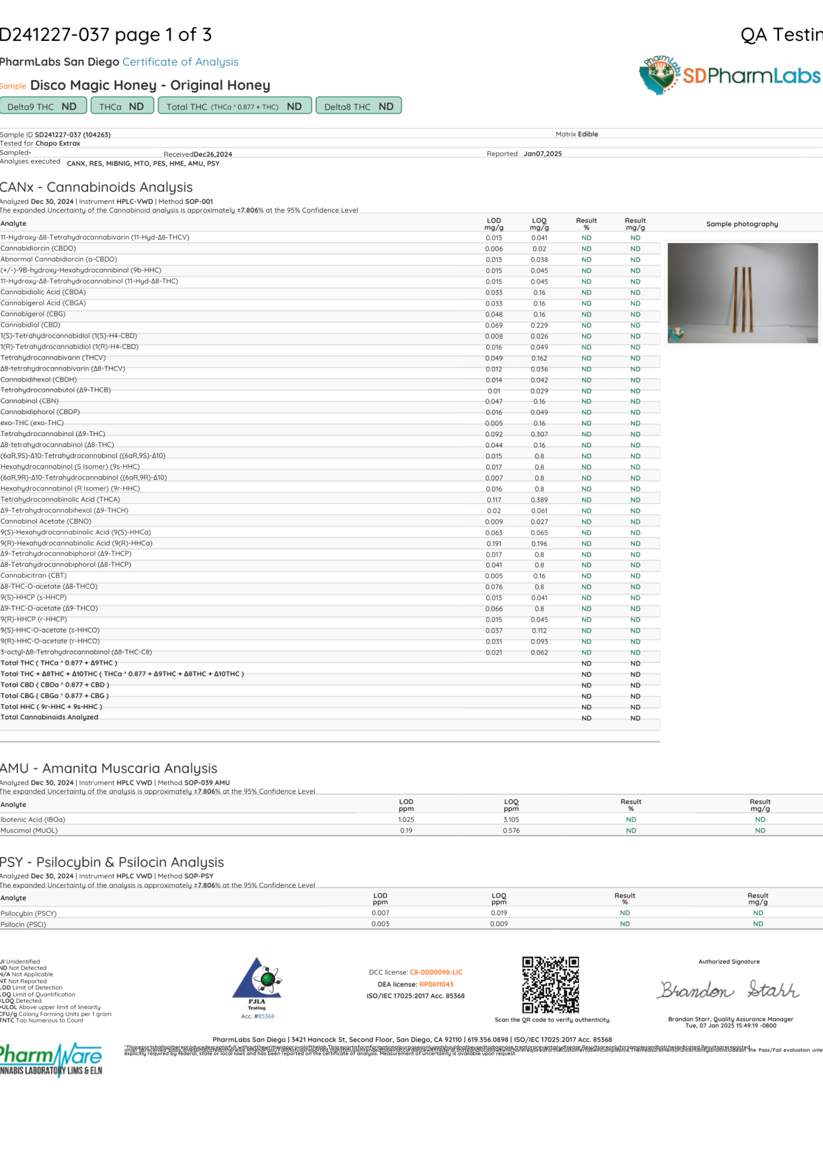 Disco Magic Mushrooms Box of 3 Disco Magic Honey Original