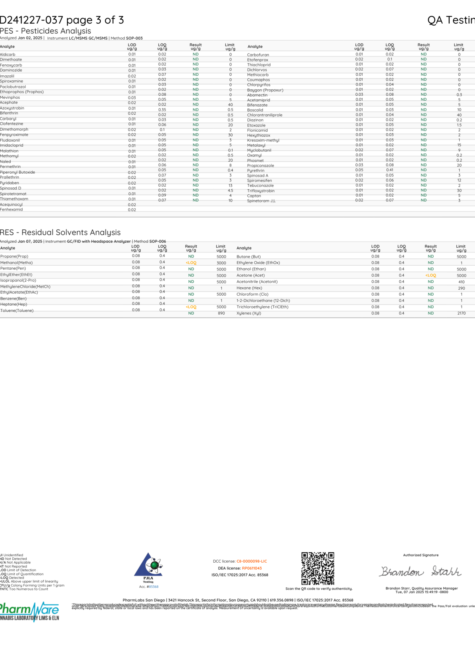 Disco Magic Mushrooms Box of 3 Disco Magic Honey Original