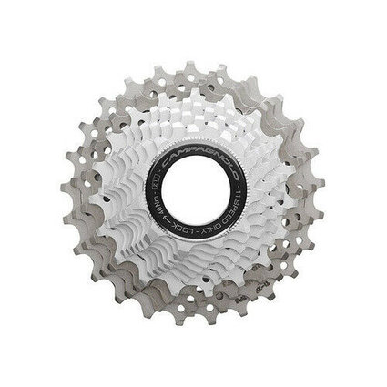 Campagnolo Record 11 Speed Cassette  11- 25