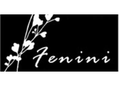 Fenini