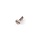 SCREW RUDDER HEAD WILD CAT