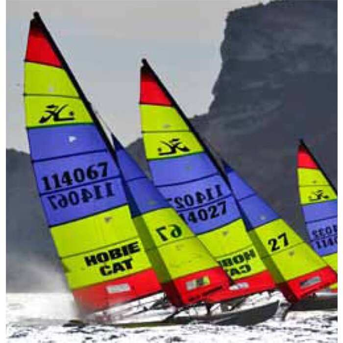 Hobie H16 MAIN/JIB PALMA EURO 2013