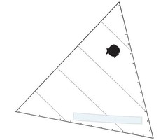 SAIL, SUNFISH, RACE WHITE