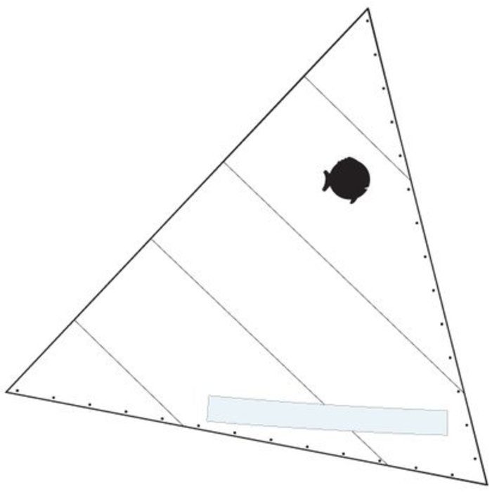 SAIL, SUNFISH, RACE WHITE