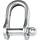 Shackle, Standard Dee, Clevis Pin, 8mm (5/16") Pin