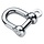 10mm D Shackle