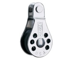 Micro Forkhead Block