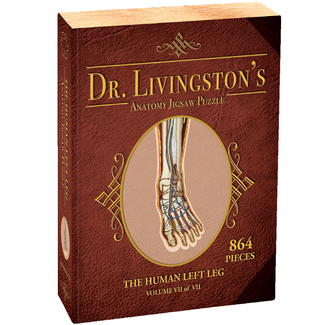 Genius Games Dr. Livingston's Anatomy Jigsaw Puzzle (7) - The Human Left Leg (864 pieces)