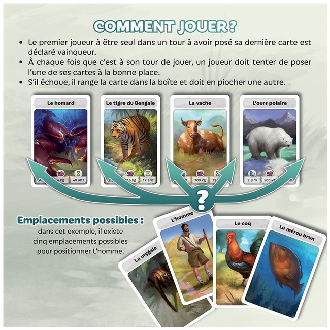 Cardline - Animaux [français]