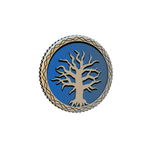 Cephalofair Games Frosthaven : Challenge Coin [anglais]