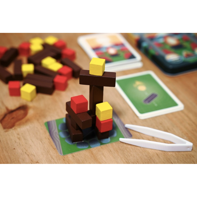 Feu de camp [français]