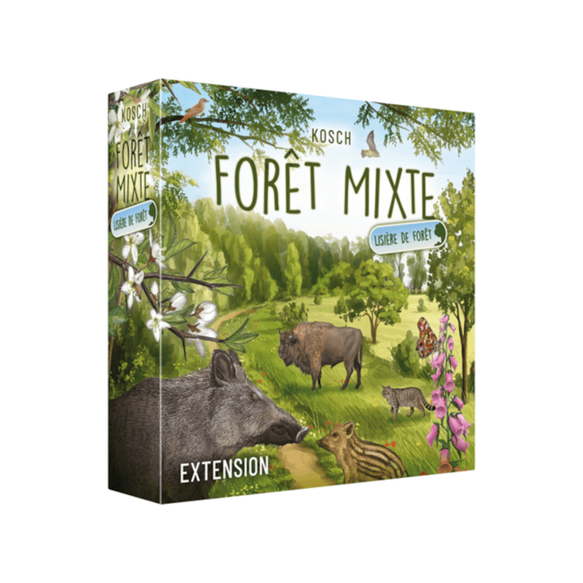 Forêt mixte : Lisière de forêt  [français]