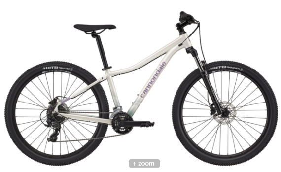 cannondale 29