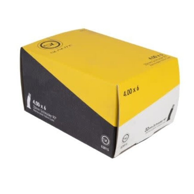 SUNLITE TUBES 4.00x6 SCOOTER ANGLE 90d VALVE FFW*