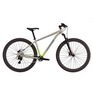 CANNONDALE 29 M Trail 8 QSD LG