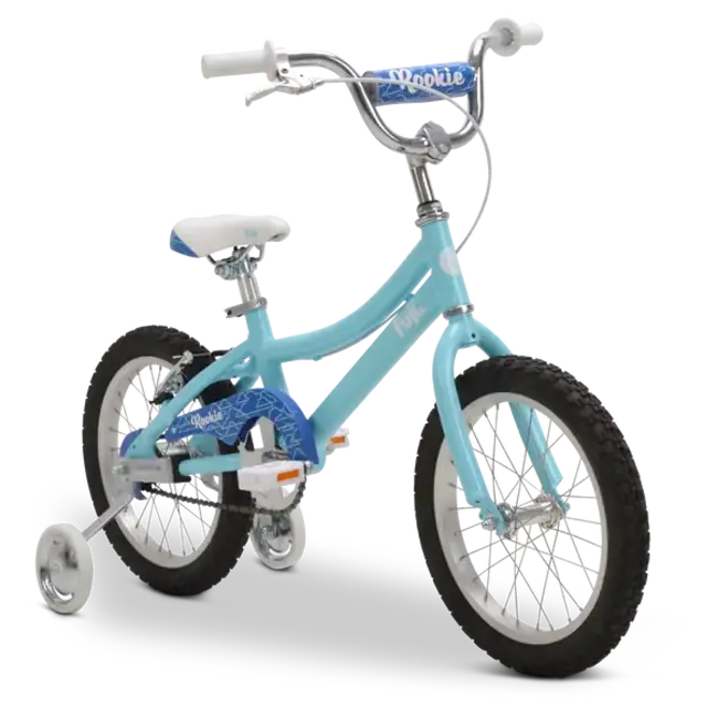 Fuji girls bike hotsell
